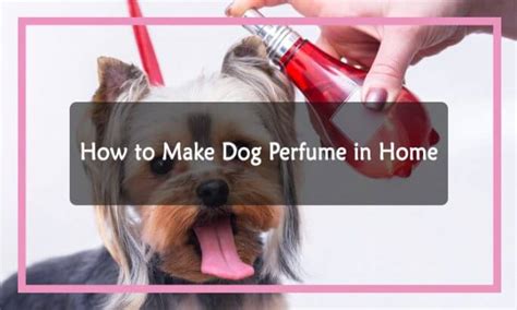 how to make dog perfume to sell